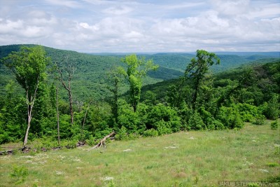 Arkansas hills