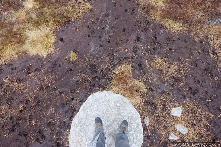Deer footprints.